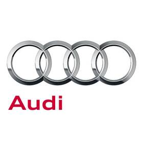 Audi 07k-906-031-n Genuine Injector