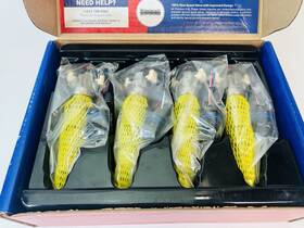 Duralast 840660011370 Dif60-7074pk Diesel Fuel Injector 4-pack Ford International Reman