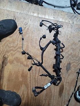 1m5t-9h589 Ford 2002 Focus Engine Harness Gba