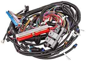 10416 Jegs Stand Alone Wire Harness For 1997-04 Ls