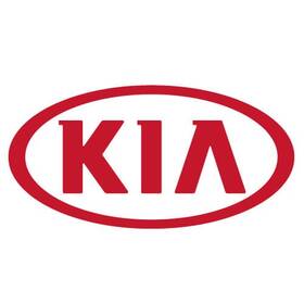 35310-2t000 Kia Genuine Fuel Injector