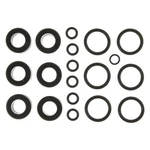 For Nissan Maxima 1995-2001 Mahle Fuel Injection Nozzle O-ring Kit. Fixed Price $22.10.