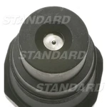 Standard Ignition Fuel Injector P FJ173. Fixed Price $64.25.