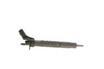 For Bosch 445 117 034 Cr Piezoelectric Injector. Db A W176, W246, W242, T-m. Fixed Price $307.51.