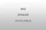 Standard Ignition FJ1550 Fuel Injector Mfi New. Fixed Price $56.40.