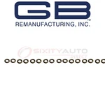 Pc Gb Fuel Injector Seal Kit 1986-2005 Ford Thunderbird 4.6L 5.0L V8 Iq. Fixed Price $37.40.