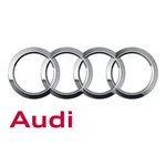 Genuine Audi Fuel Injector 06M-906-036-AM. Fixed Price $200.40.