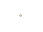 Genuine Mopar Fuel Injector Seal 68447753AA. Fixed Price $18.92.