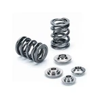 Supertech SPRK-H1000D-BM Dual Valve Spring For Bmw S42 M42 M50 S50 M52 M54 91-06. Fixed Price $879.47.