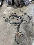 2008 - 2010 Bmw E64 650I Engine Wire Harness Oem Read Add. Fixed Price $125.00.