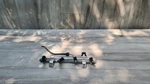 Jeep Compass 2.4L 2017 - 2022 Engine Motor Fuel Injection Rail 04627892AB Oem. Fixed Price $46.00.