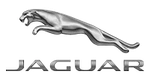 Genuine Jaguar Injector O-ring C2D55182. Fixed Price $352.23.