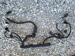 2002 2003 2004 Ford Focus Svt Engine Injector Wiring Harness 2M5V-9H589 Ad. Fixed Price $75.00.