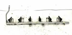 04 Bmw X3 Fuel Rail Injector Oem. Fixed Price $57.79.
