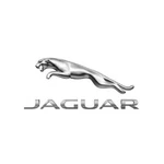 Genuine Jaguar Injector O-ring C2D55182. Fixed Price $352.23.