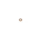 Oem Mopar 6.7L Diesel Fuel Injector Seal 2019-2025 Ram 2500 3500 68447753AA. Fixed Price $20.00.