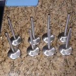 Manley High Performance Valves. Fixed Price $150.00.