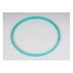 Acdelco 217-2424 Fuel Injection Throttle Body Seal. Fixed Price $44.90.