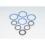 217-3113 Ac Delco Kit Fuel Injector O-ring Gas New For Chevy Olds S10 Pickup. Fixed Price $39.24.