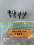 Fuel Rail Bolts 2014 Nissan Murano 3.5 Oem. Fixed Price $19.99.